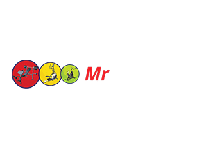 partners-Mr-Treadmill